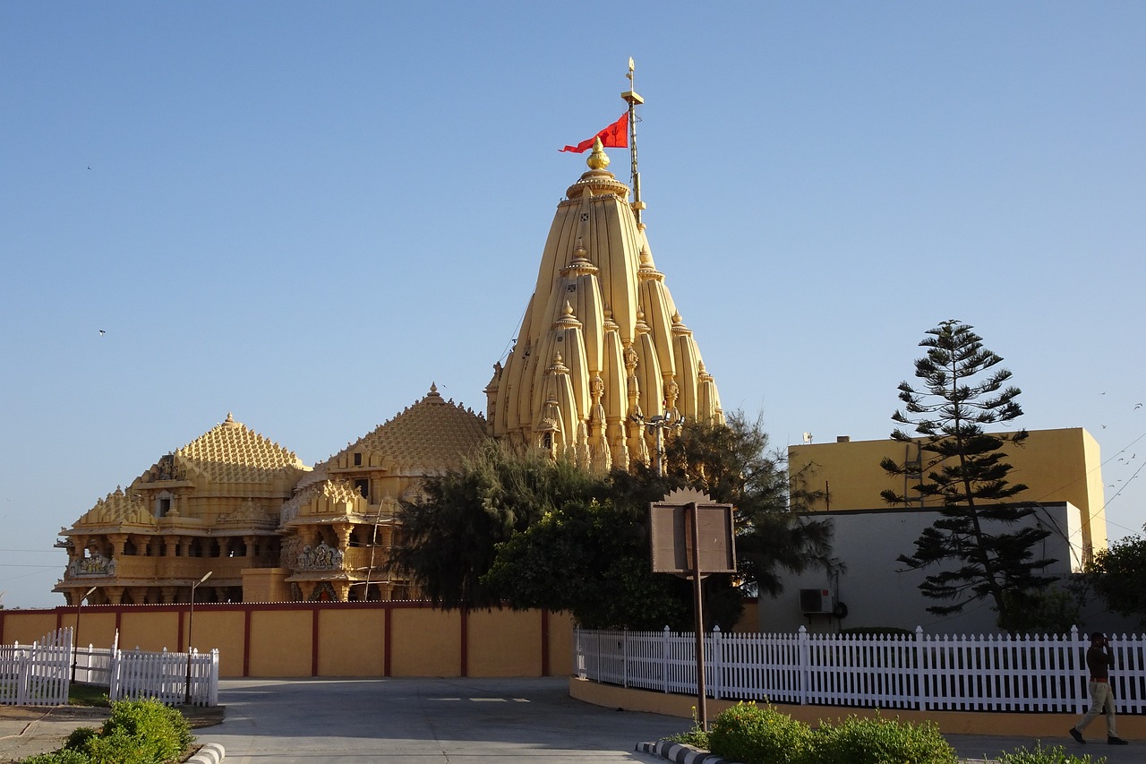 Attraction image